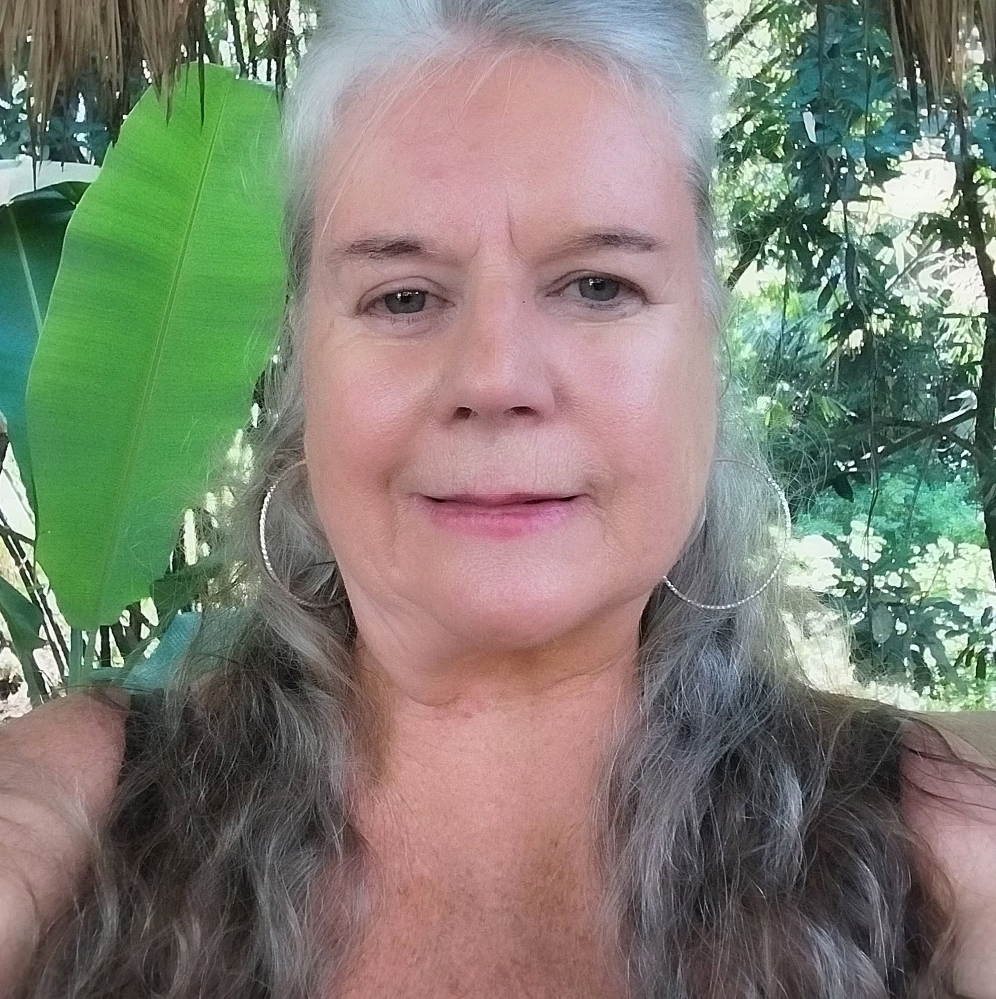 The Ginny Webb Site